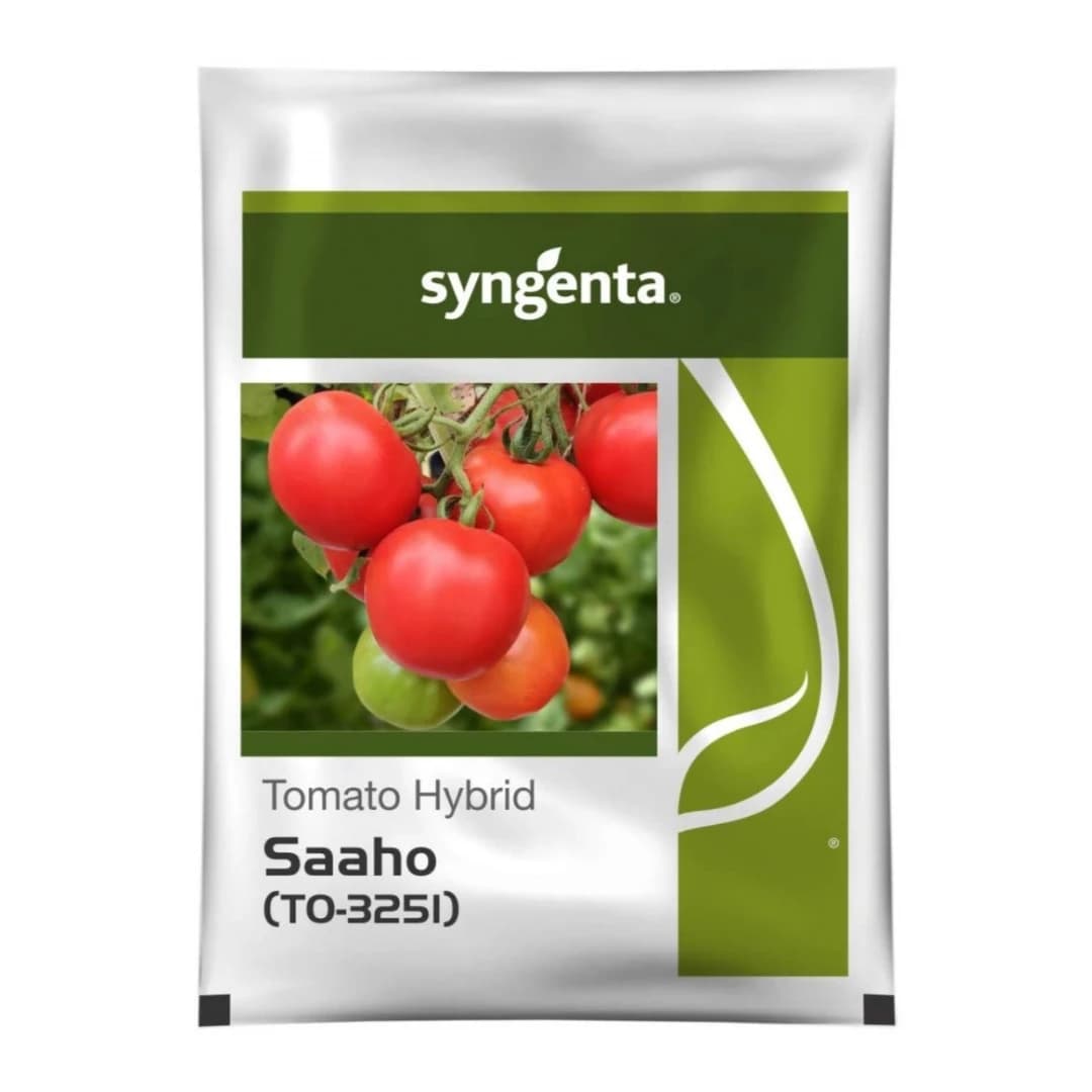 Flower Seeds Combo — 15 Varieties